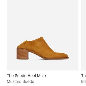 Everlane suede heel mule